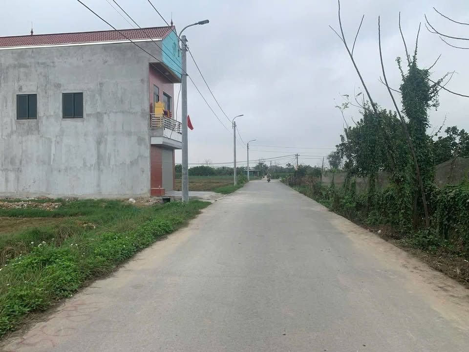 Đất nền Yên Bình Vĩnh Tường 120m² giá 1 tỷ - Tiềm năng đầu tư sinh lời cao!