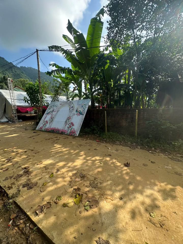 Bán đất Xóm Lai Đồng, Tân Sơn, Phú Thọ 202m² - Vị trí đắc địa, giá chỉ 300 triệu!