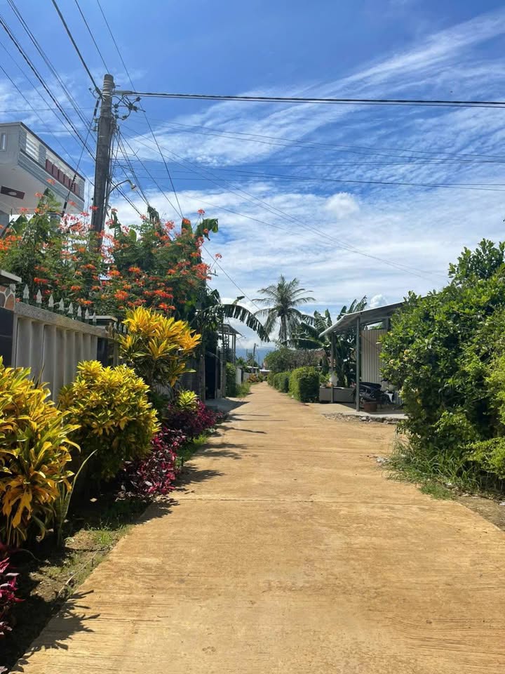 Đất thổ cư Sơn Thành Đông, Tây Hòa, Phú Yên 161m² giá chỉ 4xx triệu - Cơ hội đầu tư tuyệt vời!