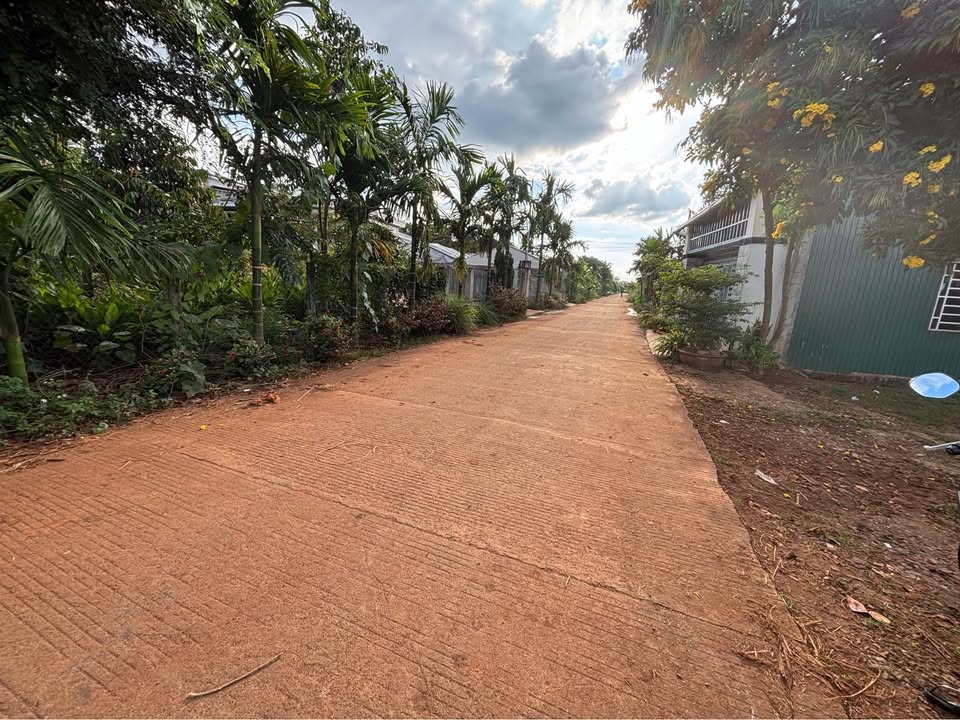 Đất nền Cư Suê, Cư M'gar 185.5m² chỉ 1.75 tỷ - Cơ hội đầu tư tuyệt vời!