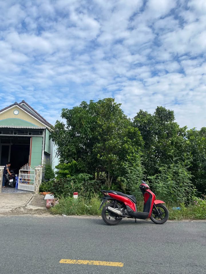 Đất nền mặt tiền Tỉnh 955A 140.9m² giá chỉ 1 tỷ - Cơ hội đầu tư không thể bỏ qua!