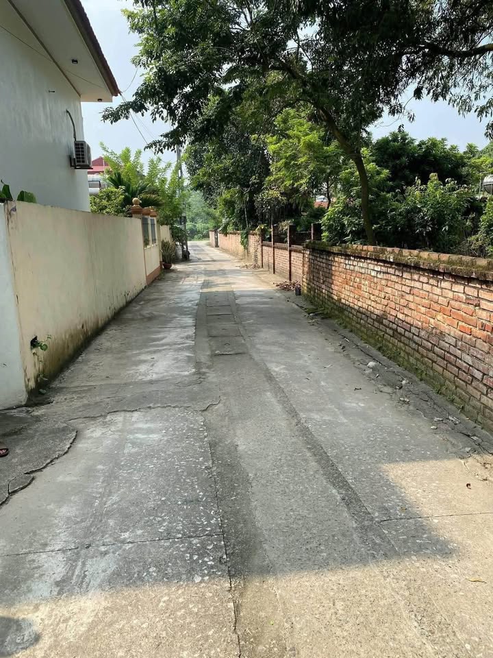 Đất nền thôn Bình Minh, Đình Chu, Lập Thạch 200m² - Giá thỏa thuận, vị trí đẹp!