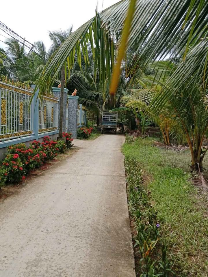 Đất vườn dừa Tân Lợi Thạnh 4700m² giá 1.88 tỷ - Đầu tư sinh lời ngay!