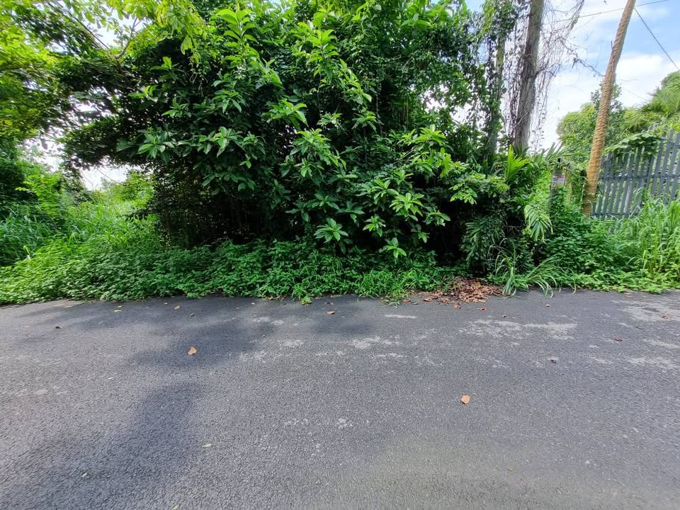 Đất nền Cây Trắc, Củ Chi 190m² giá 2.1 tỷ - Sổ đỏ chính chủ, thương lượng tốt!