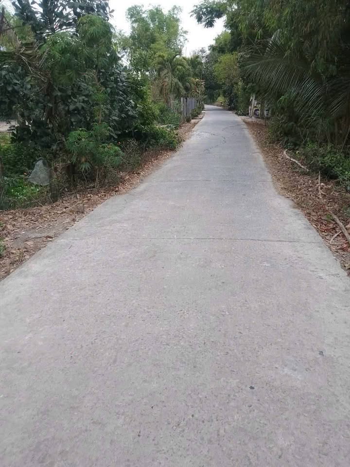 Đất farm 14 công tại xã Nhơn Ninh, huyện Tân Thạnh, Long An - Giá chỉ 180 triệu/công, đầu tư sinh lời ngay!