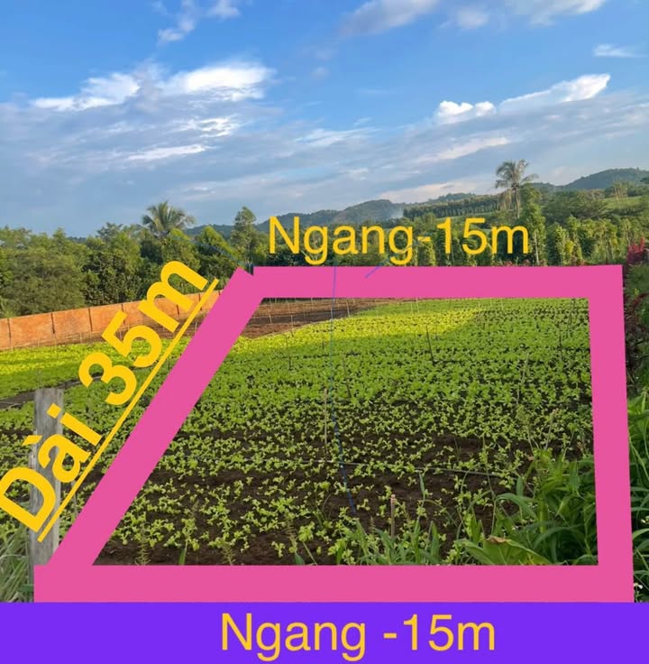 Đất thổ cư Hòa Khánh 525m² giá 1.6 tỷ - Cơ hội đầu tư không thể bỏ lỡ!