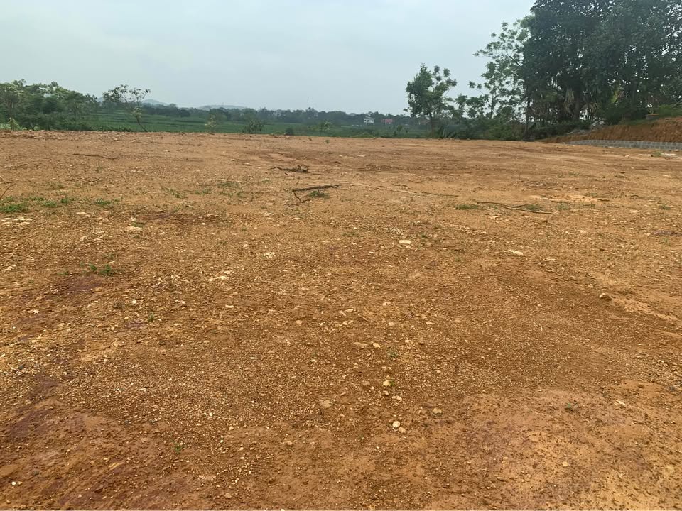 Đất nền Vân Hòa, Ba Vì 2800m² - Tiềm năng đầu tư Homstay nghỉ dưỡng