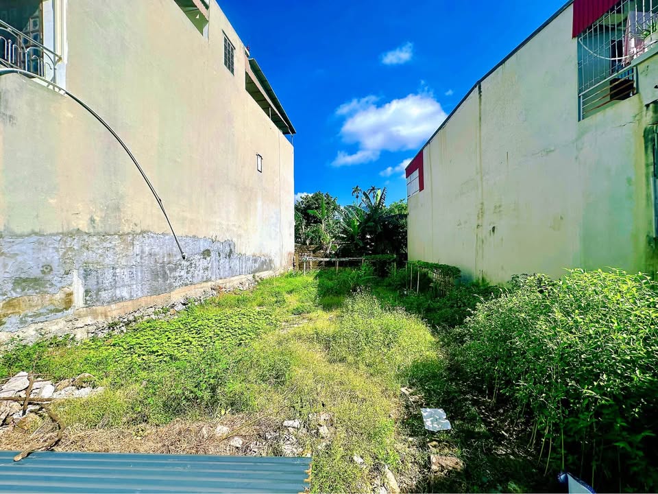 Lô đất Phù Lưu 2 - Ngã tư Nguyễn Phục 185m² giá 2 tỷ - Đầu tư sinh lời ngay!