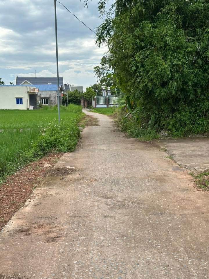 Đất Kha Sơn Phú Bình 500m² giá 1 tỷ - Đầu tư sinh lời hấp dẫn!