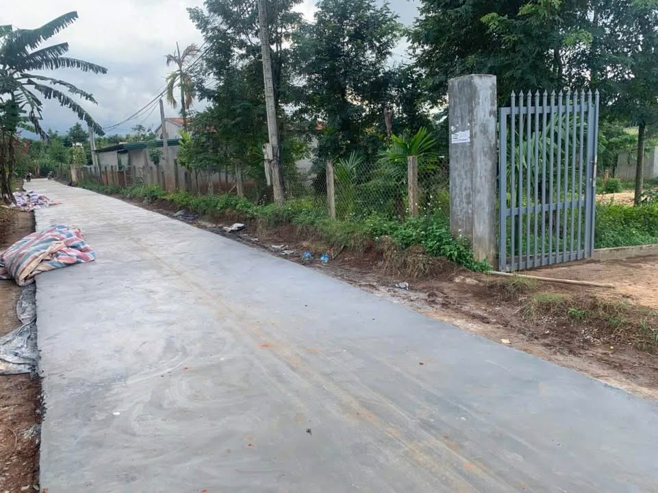 Đất nền 2060m² xã Ea Ning, Cư Kuin, Đắk Lắk chỉ 1.4 tỷ - Sổ đỏ chính chủ!