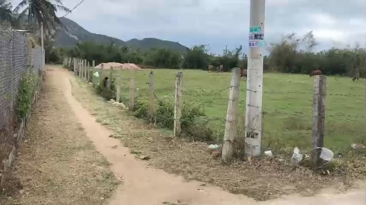 Đất nền Vạn Bình - 1301m² giá 3.25 tỷ - Cơ hội đầu tư hấp dẫn!