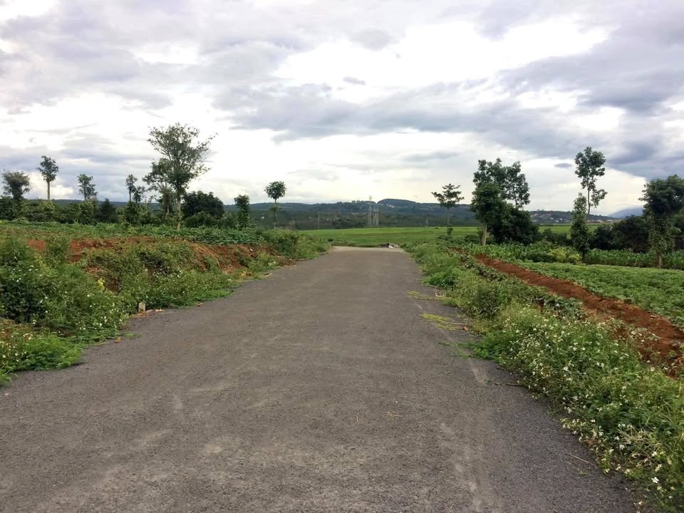 Đất thổ cư đường Ngô Quyền, Di Linh 173m² giá 750 triệu - Cơ hội đầu tư sinh lời!