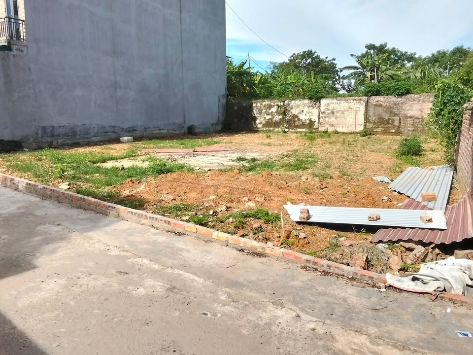 Bán gấp 3 lô đất liền kề Thụy Vân 300m² - Sổ đỏ chính chủ, giá chỉ 1.35 tỷ!