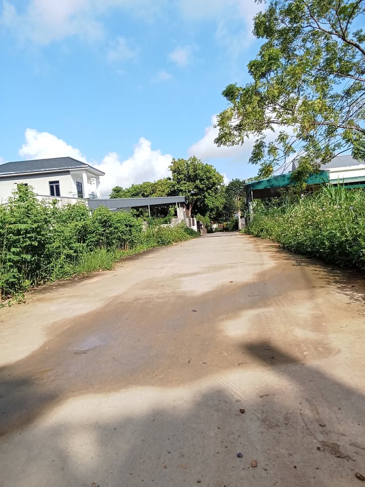 Đất nền phường Trung Sơn, Tam Điệp 380m² giá chỉ 1 tỷ - Cơ hội đầu tư tuyệt vời!