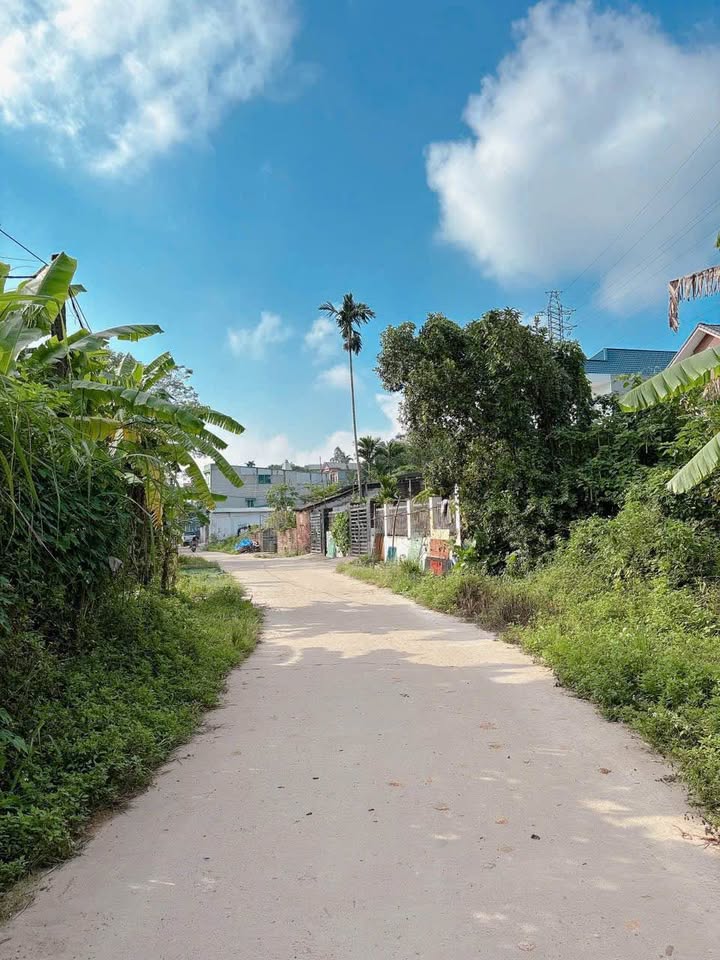 Đất nền chính chủ Thụy Vân 90m² giá 1.69 tỷ - Tiềm năng sinh lời cao!