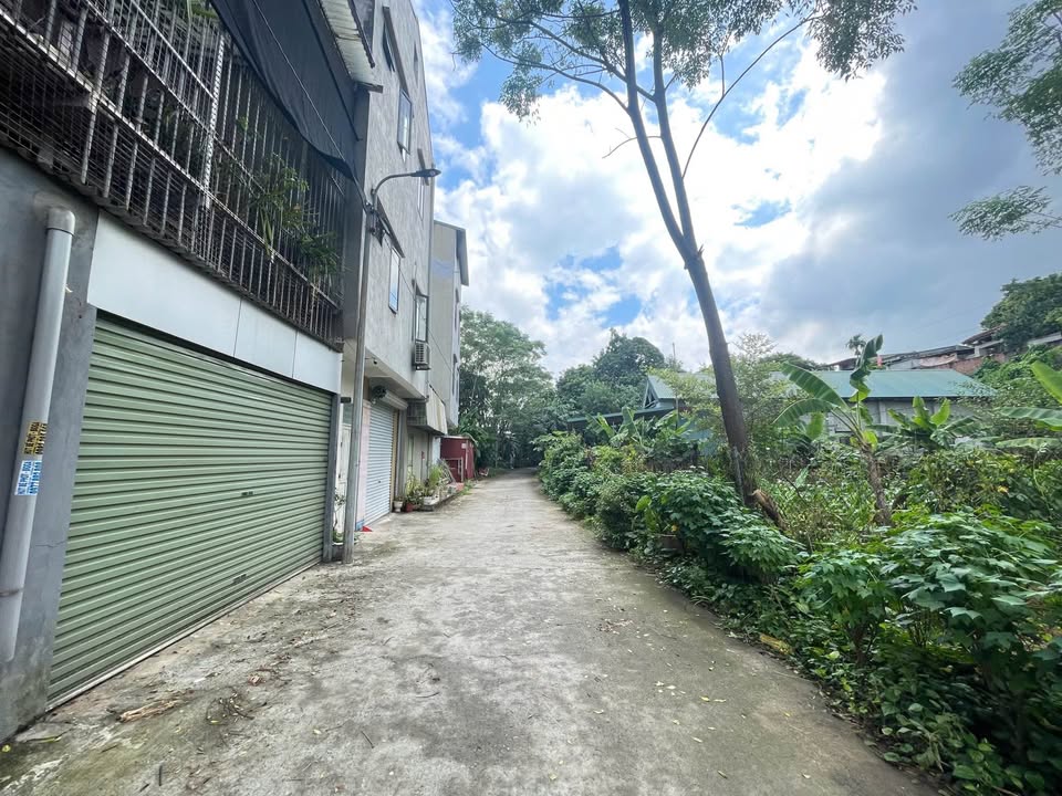 Đất nền Nguyễn Du, phường Dữu Lâu, 122m² giá 3 tỷ - Cơ hội đầu tư hấp dẫn!