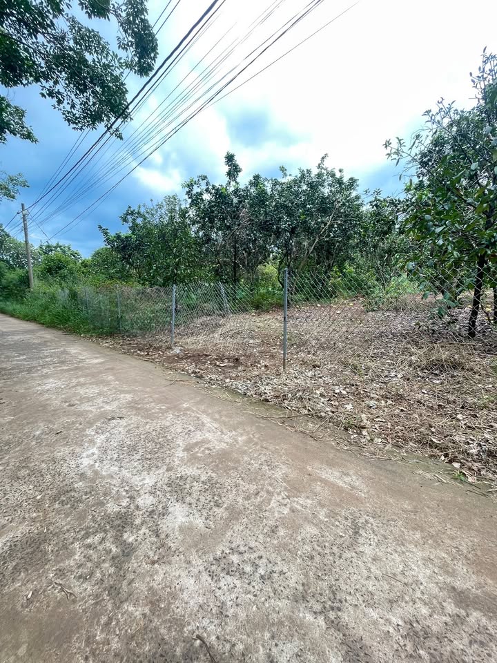 Đất thổ cư 198m² phường Bảo Vinh - Giá 1.13 tỷ, thương lượng ngay!