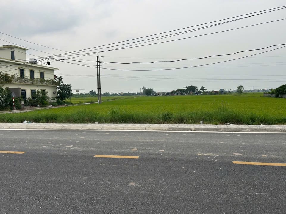 Đất nền liền kề Hưng Hà Thái Bình 100m² - Vị trí đắc địa, giá thỏa thuận!