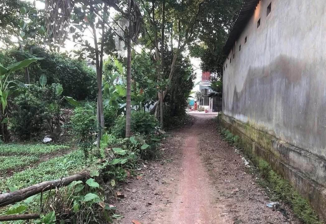 Đất thổ cư 120m² Tân Long - Giá 1.1 tỷ, gần trường học