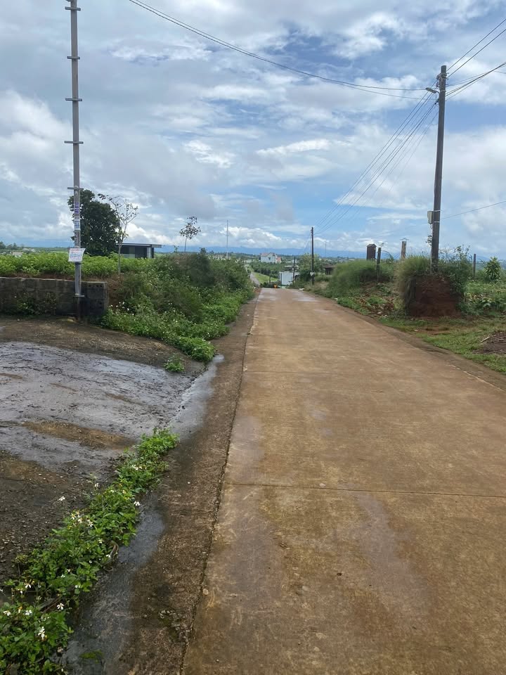 Đất thổ cư Nguyễn Thanh Ba Bảo Lộc 700m² giá 2.8 tỷ - Ô tô vào tận nơi!