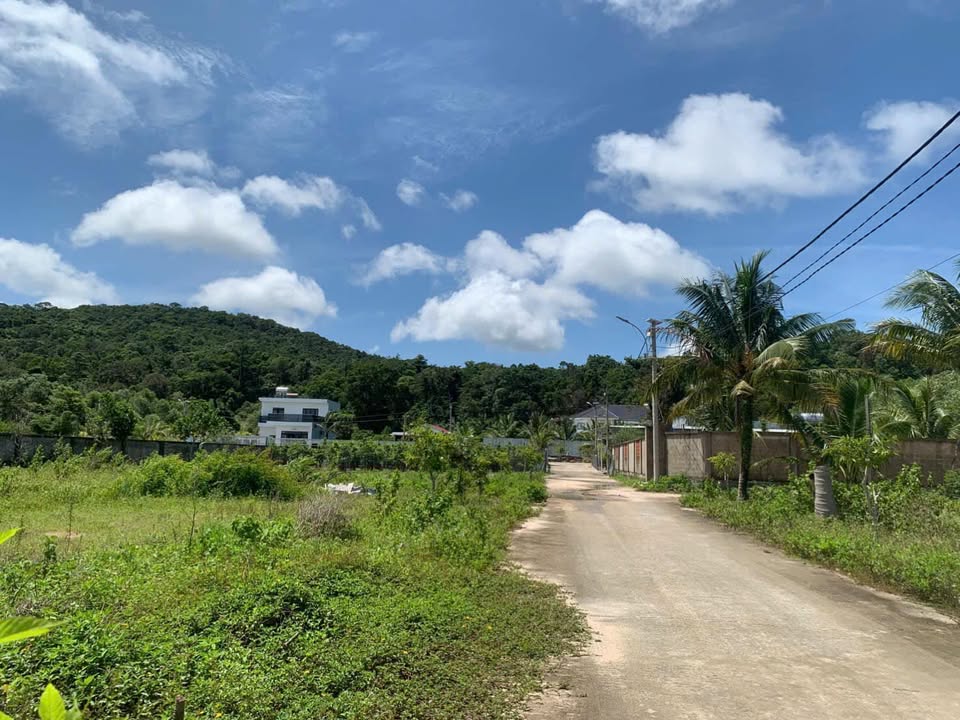 Đất sào Suối Đá Dương Tơ Phú Quốc 470m² giá chỉ 2,95 tỷ - Tiềm năng sinh lời cao!