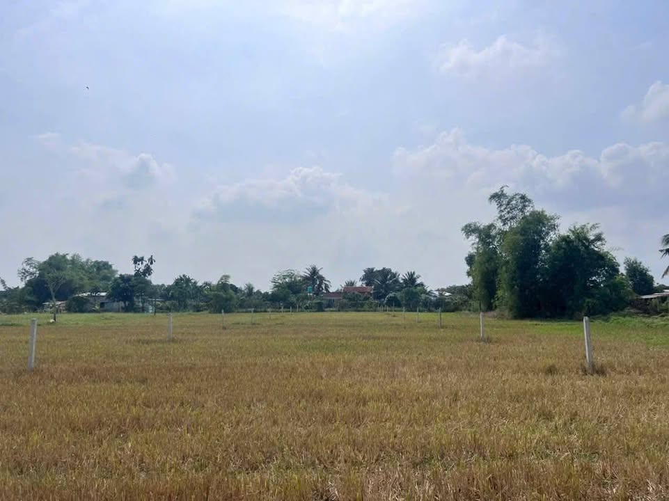 Đất Thổ Cư Đức Hoà Thượng 1180m² giá 2.15 tỷ - Tiềm năng đầu tư cao!