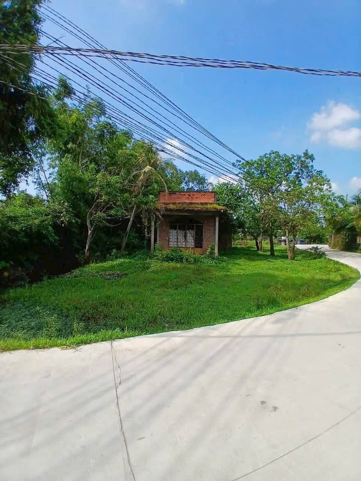 Đất thổ cư 200m² mặt tiền đường Hậu Nghĩa - Giá chỉ 2.8 tỷ