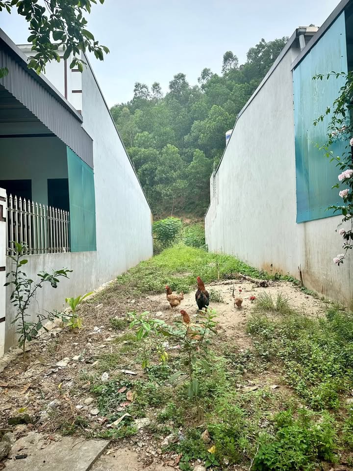 Bán đất Yên Bình 120m² giá 920 triệu - Đường Nguyễn Tất Thành, thoáng mát, ô tô vào tận nơi!