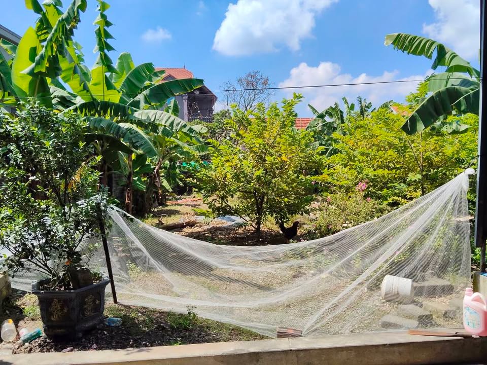 Đất Lại Xuân Thủy Nguyên 365m² giá 1.4 tỷ - Tặng nhà cấp 4 xinh xắn!