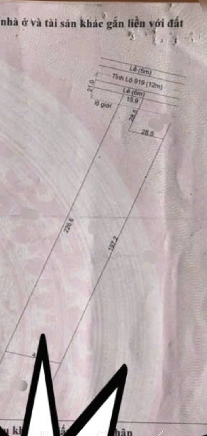 Đất nền mặt tiền tỉnh lộ 919, xã Trường Xuân, 9000m² - Giá 7 tỷ thương lượng trực tiếp