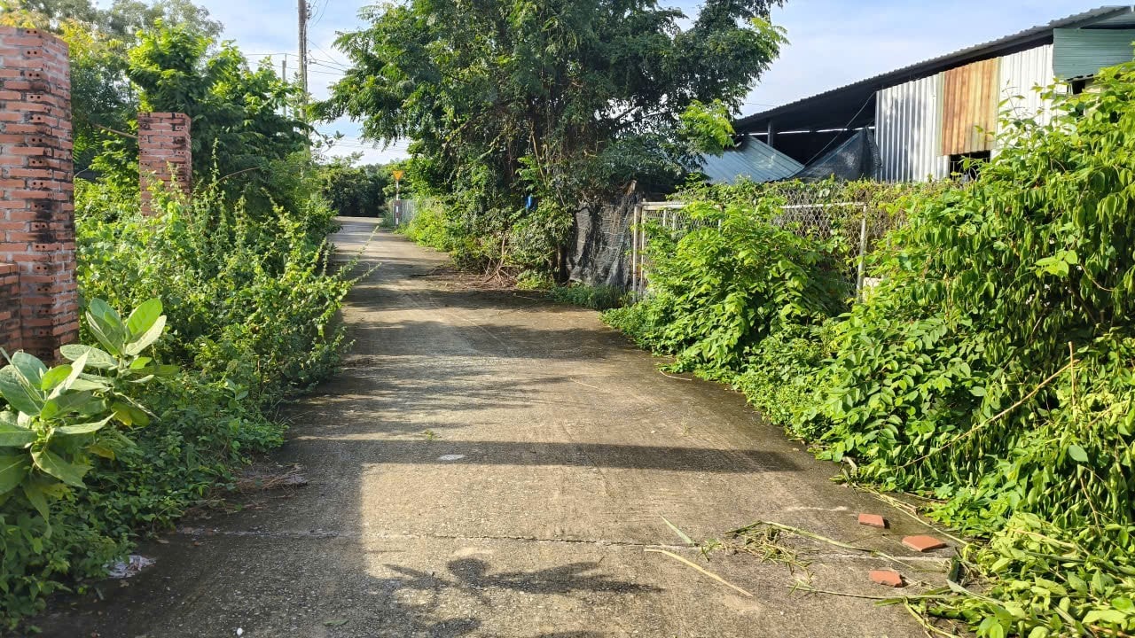 Đất nền Phước Hưng Long Điền 150m² giá chỉ 750 triệu - Cơ hội đầu tư tuyệt vời!