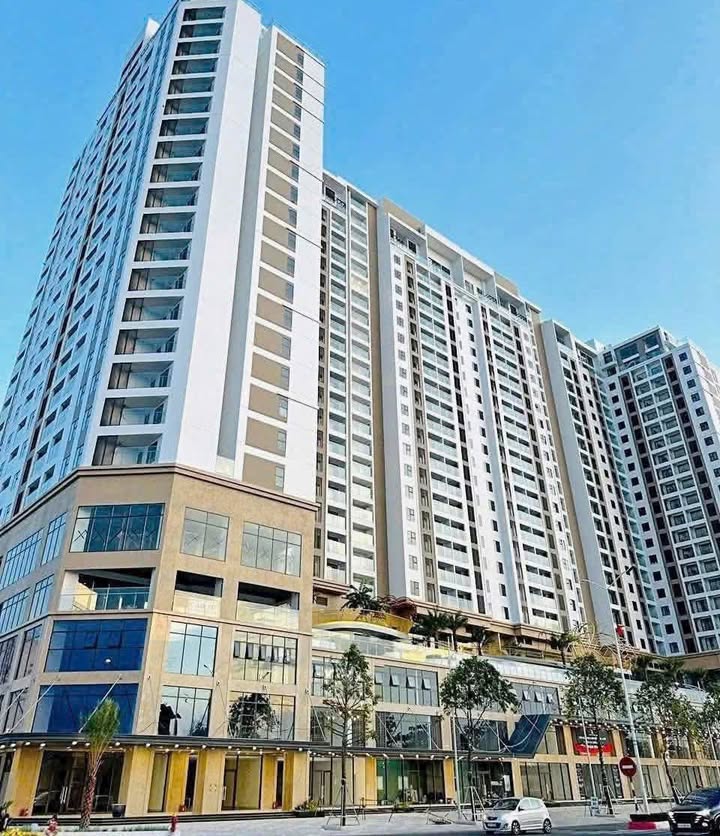 Đất góc 2 mặt tiền Nguyễn Hữu Cảnh, Vũng Tàu 448,2m² giá 49,5 tỷ - Cơ hội đầu tư vàng!