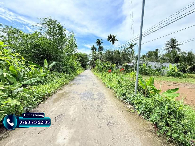 Đất nền Ngãi Tứ, Tam Bình, Vĩnh Long 104m² chỉ 190 triệu - Đầu tư sinh lời ngay!