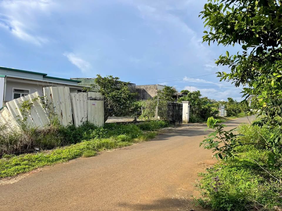 Đất nền mặt tiền Trịnh Hoài Đức - Lộc Nga 914m² giá 3 tỷ - Cơ hội đầu tư lý tưởng!