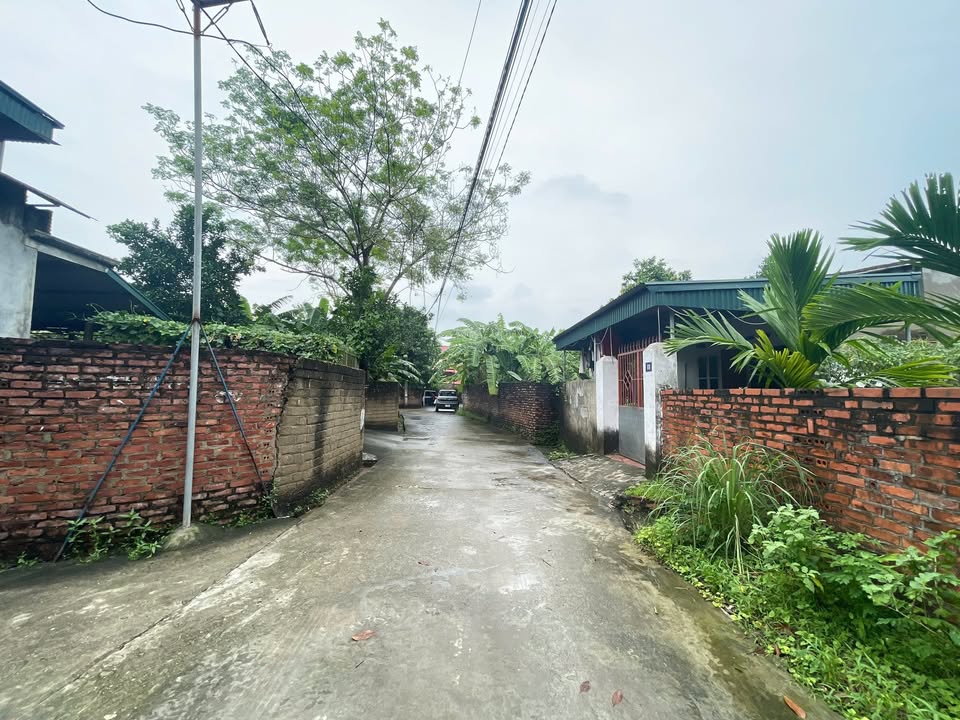 Đất nền Minh Nông, Việt Trì 82m² giá 1 tỷ - Vị trí đắc địa gần trung tâm!