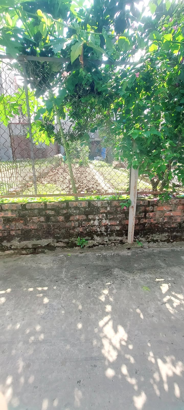 Đất nền Vân Nội, Đông Anh 60m² giá 5 tỷ - Đầu tư sinh lời ngay!