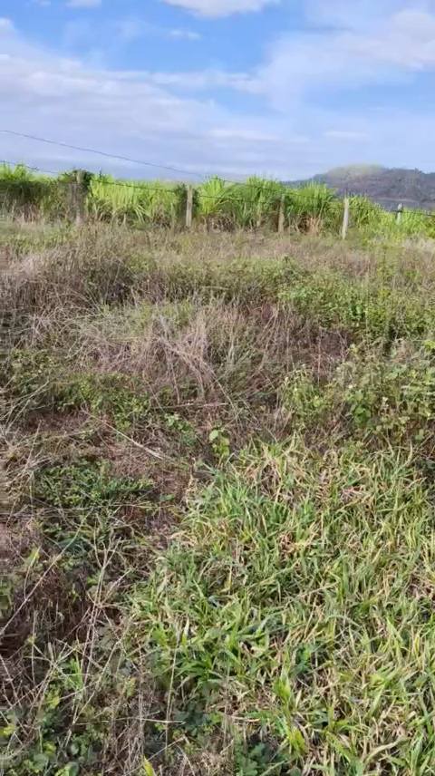 Đất nền đẹp tại Tân Mỹ, Ninh Xuân, 508m² giá chỉ 200 triệu - Đầu tư sinh lời ngay!