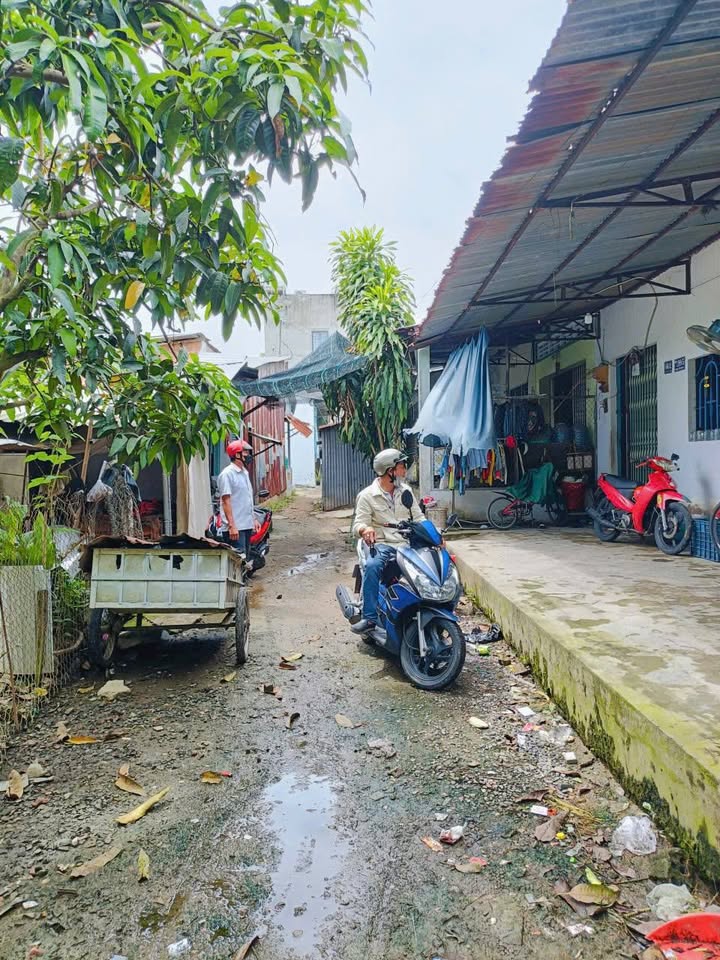 Nhà cấp 4 phường Cao Lãnh 80m² giá 500 triệu - Sổ hồng chính chủ, thương lượng nhẹ!