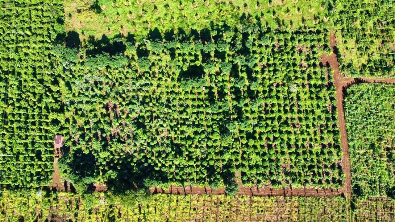 Đất nền Phường Thống Nhất, Buôn Hồ 600m² chỉ 219 triệu - Cơ hội đầu tư hiếm có!