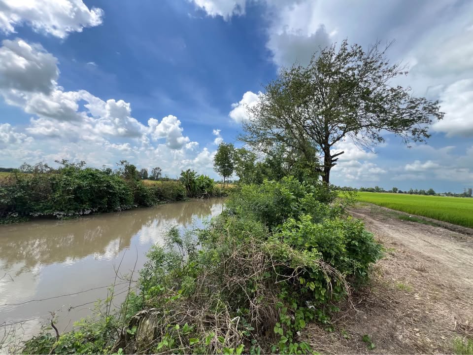 Đất nông nghiệp Vọng Đông 45.000m² giá 6.075 tỷ - Mặt tiền kênh thuận lợi!