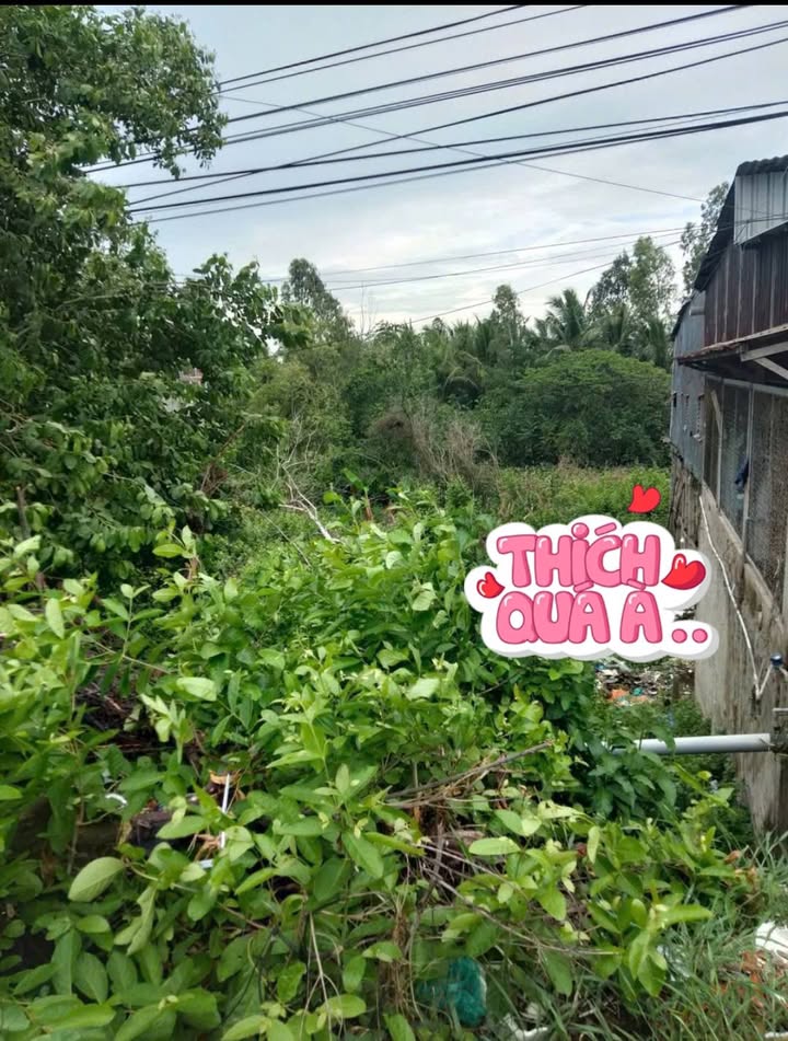 Đất nền mặt tiền đường 955A, Châu Đốc, 83m², giá 899 triệu - Đầu tư sinh lời ngay!