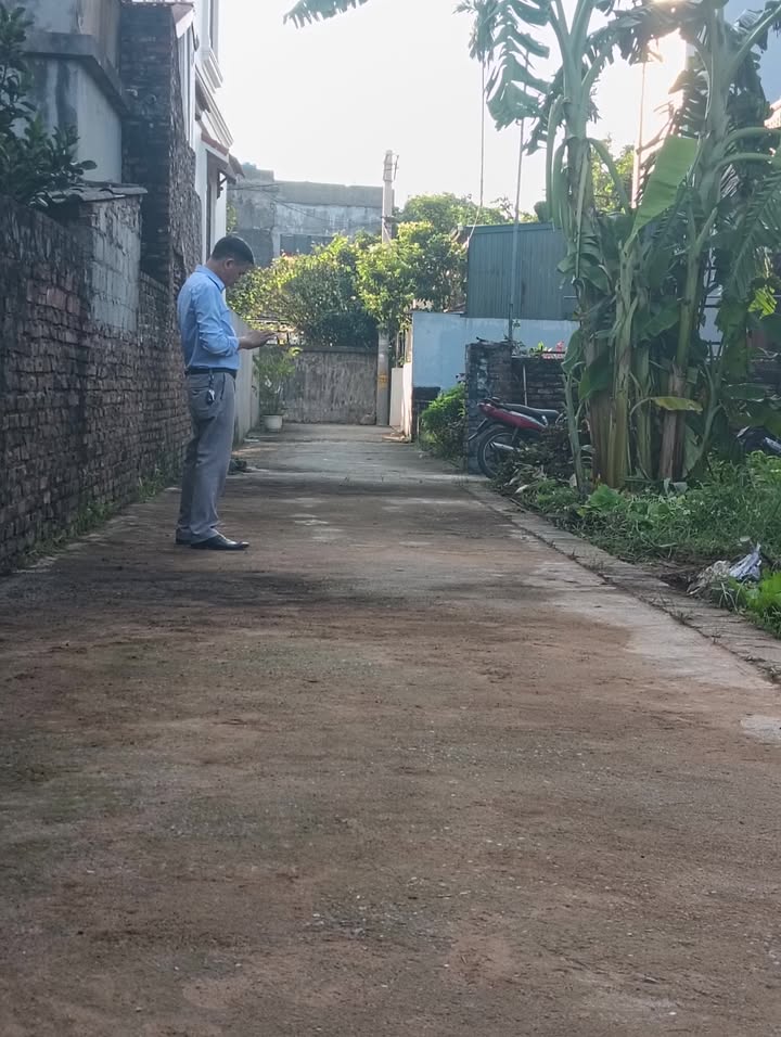 Đất nền Tự Nhiên, Thường Tín 42,3m² giá 1.69 tỷ - Đầu tư sinh lời hấp dẫn!