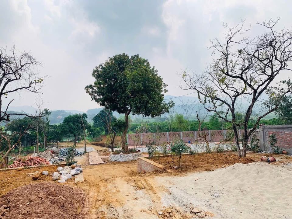 Đất nền Yên Bài Ba Vì 1800m² - Sổ đỏ chính chủ, view thoáng đẹp!