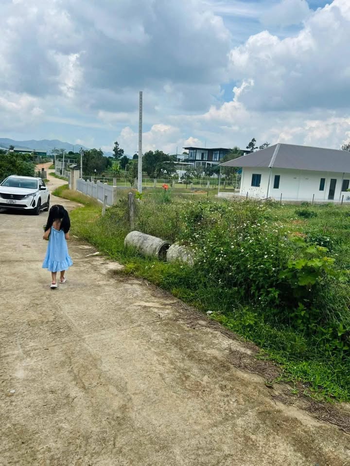 Đất Farm Bảo Lộc 2000m² giá 1.75 tỷ - Cơ hội đầu tư hấp dẫn!