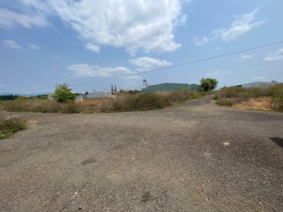 Đất nền hẻm Nguyễn Tuân, Thắng Lợi, 126m² giá 599 triệu - Cơ hội đầu tư tuyệt vời!