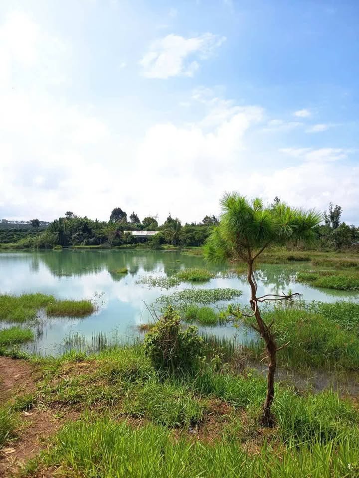 Đất nền Bảo Lộc 500m² giá 2.25 tỷ - View hồ trọn đời, thổ cư chính chủ