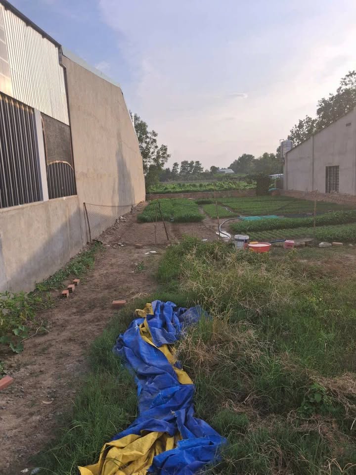 Đất nền Bàu Năng Dương Minh Châu 150m² giá 400 triệu - Bán gấp, vị trí đẹp!