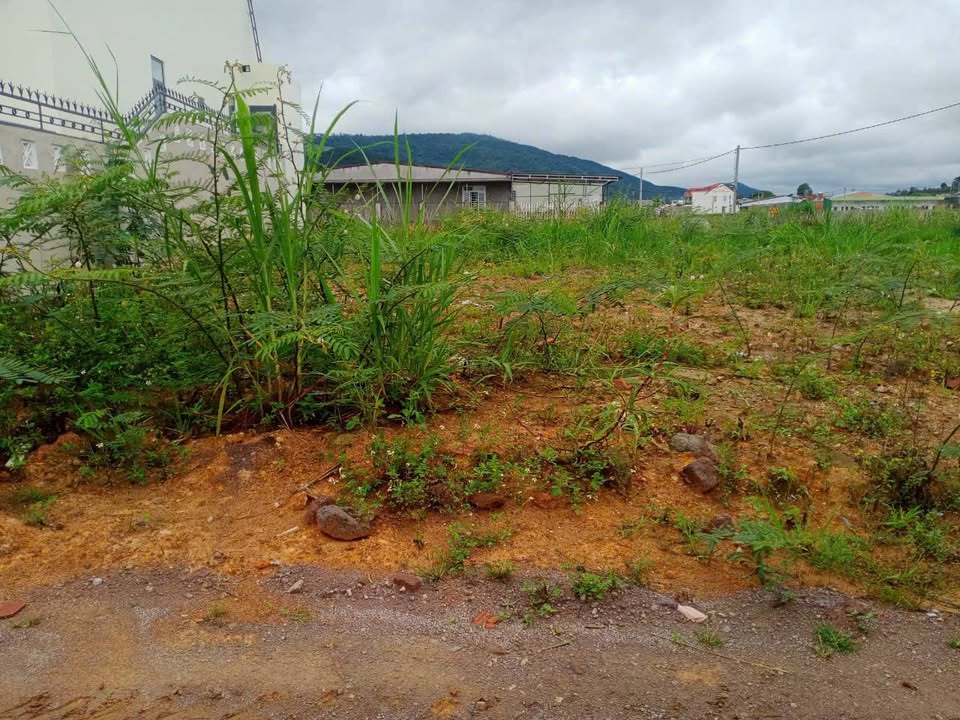 Đất nền Hiệp An, Đức Trọng 115m² giá 1.3 tỷ - Cơ hội đầu tư tuyệt vời!