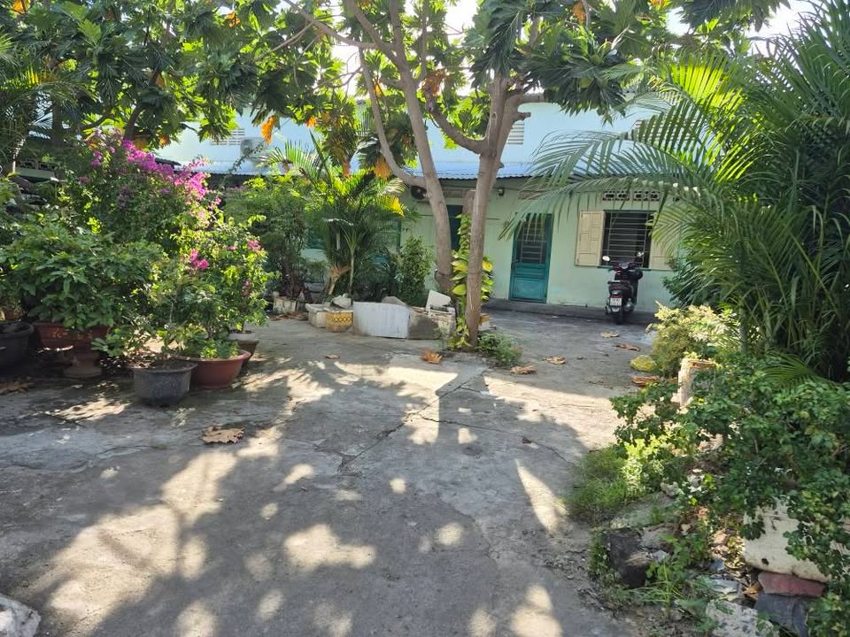 Đất thổ cư 488m² tại Vĩnh Điềm Thượng, Nha Trang - Doanh thu 14 triệu/tháng!