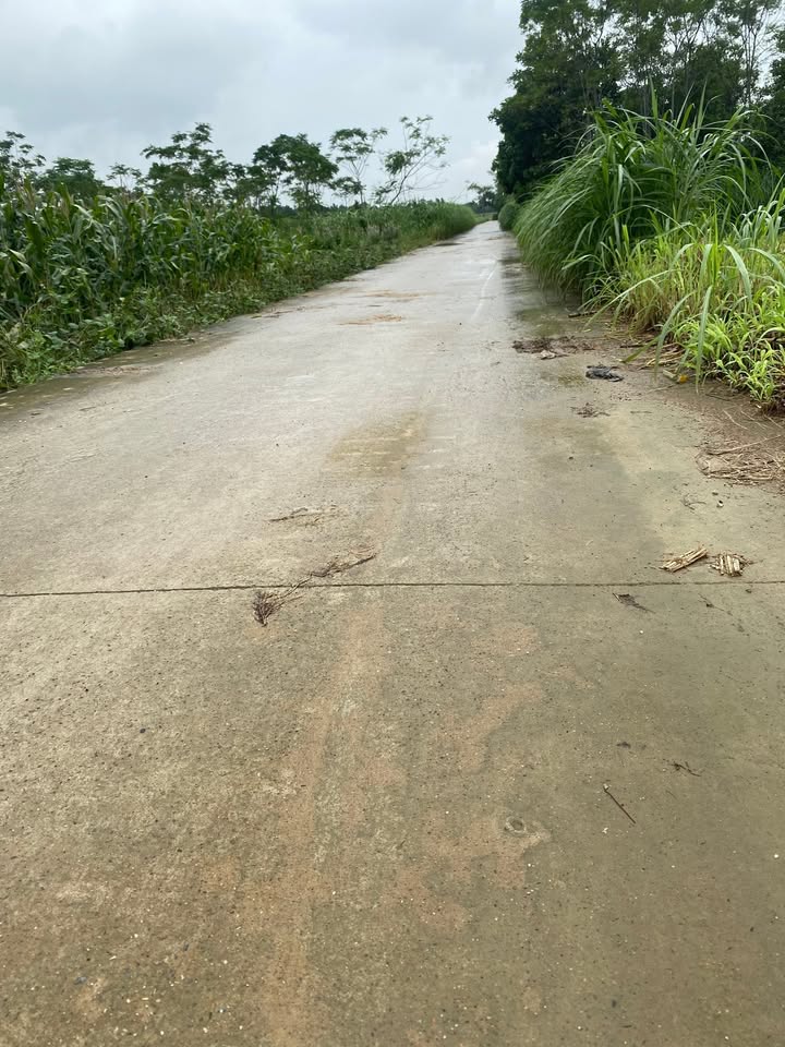 Farm Thượng Lâm Mỹ Đức 2156m² giá 2.156 tỷ - Sổ hồng chính chủ, vị trí đẹp!